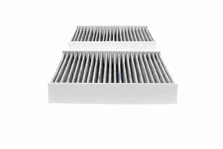 Filter, cabin air - V20-31-5003