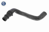 Radiator Hose - V20-2462