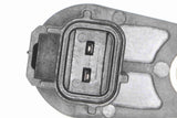 Sensor, camshaft position - V25-72-1245