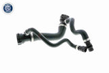 Radiator Hose - V20-1308
