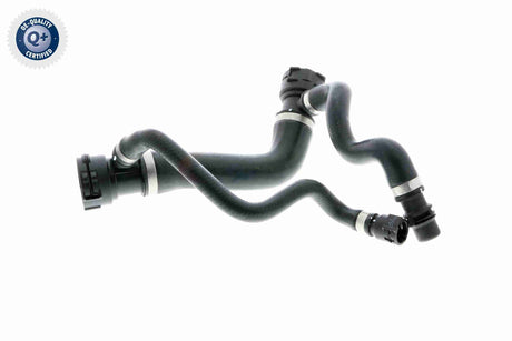 Radiator Hose - V20-1308