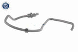 Hose, crankcase ventilation - V10-4748