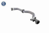 Radiator Hose - V20-1777