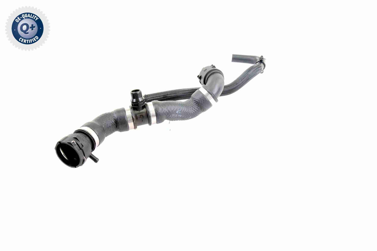 Radiator Hose - V20-2421