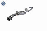 Radiator Hose - V20-2421