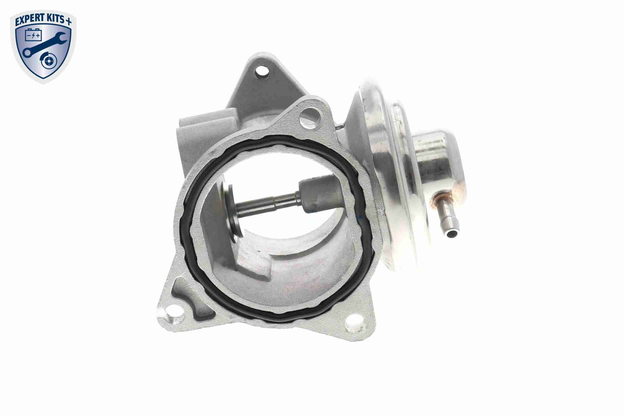 Valve, exhaust gas recirculation - V10-63-0011-1