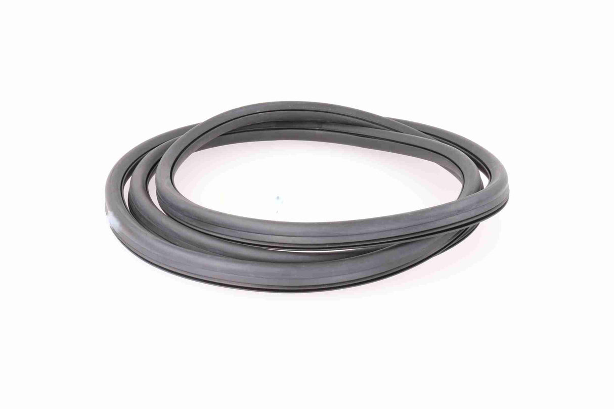 Seal, windscreen - V10-0086