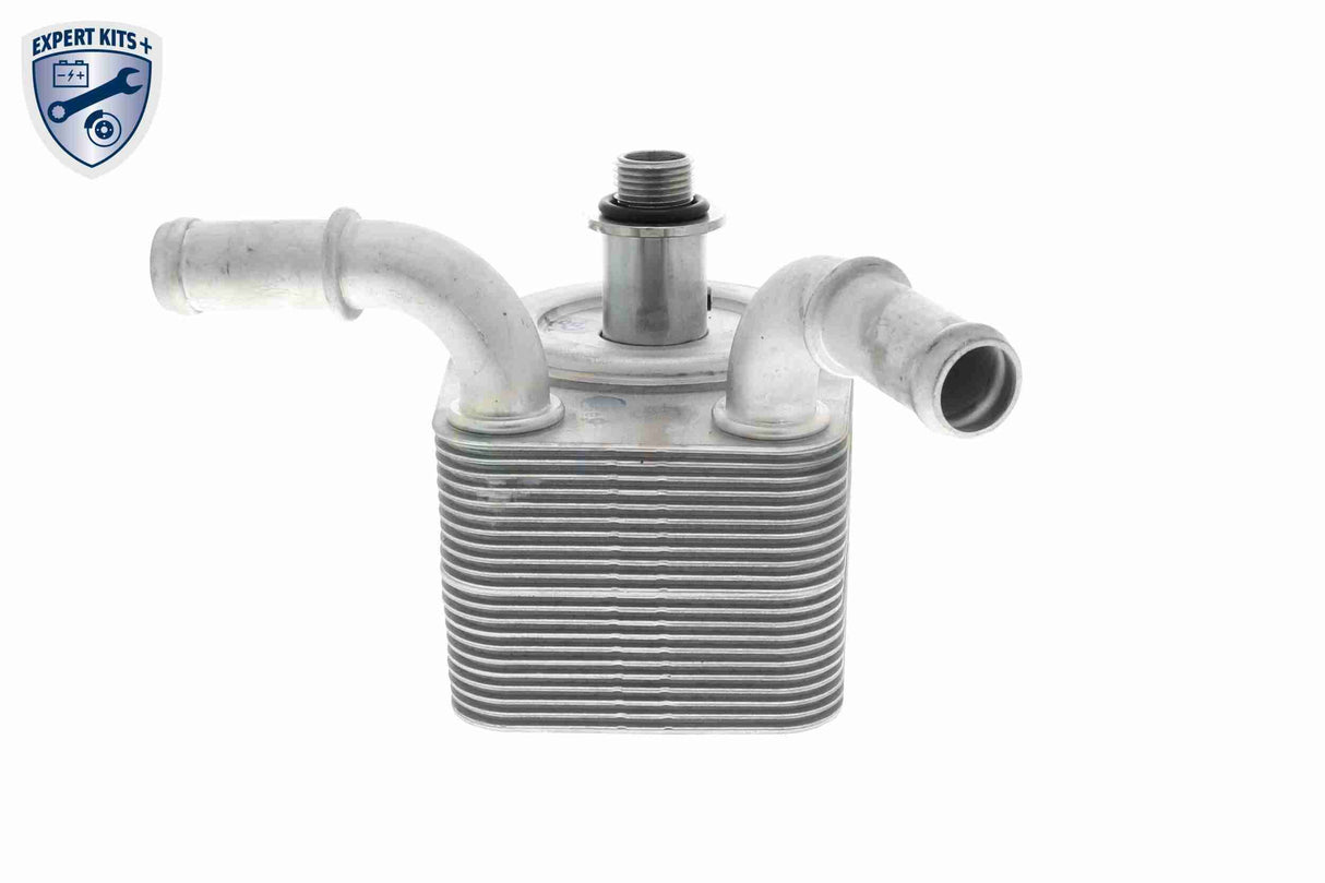 Oil Cooler, engine oil - V25-60-0049