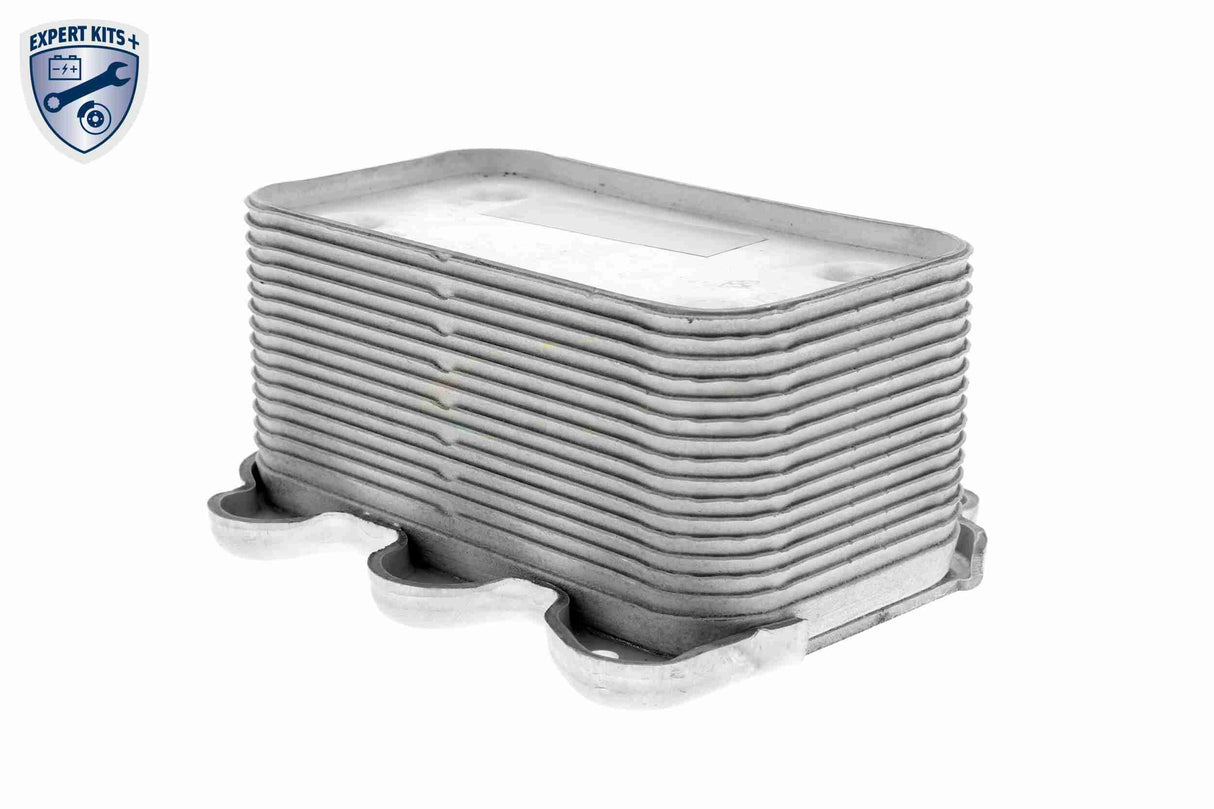 Oil Cooler, engine oil - V30-60-0005