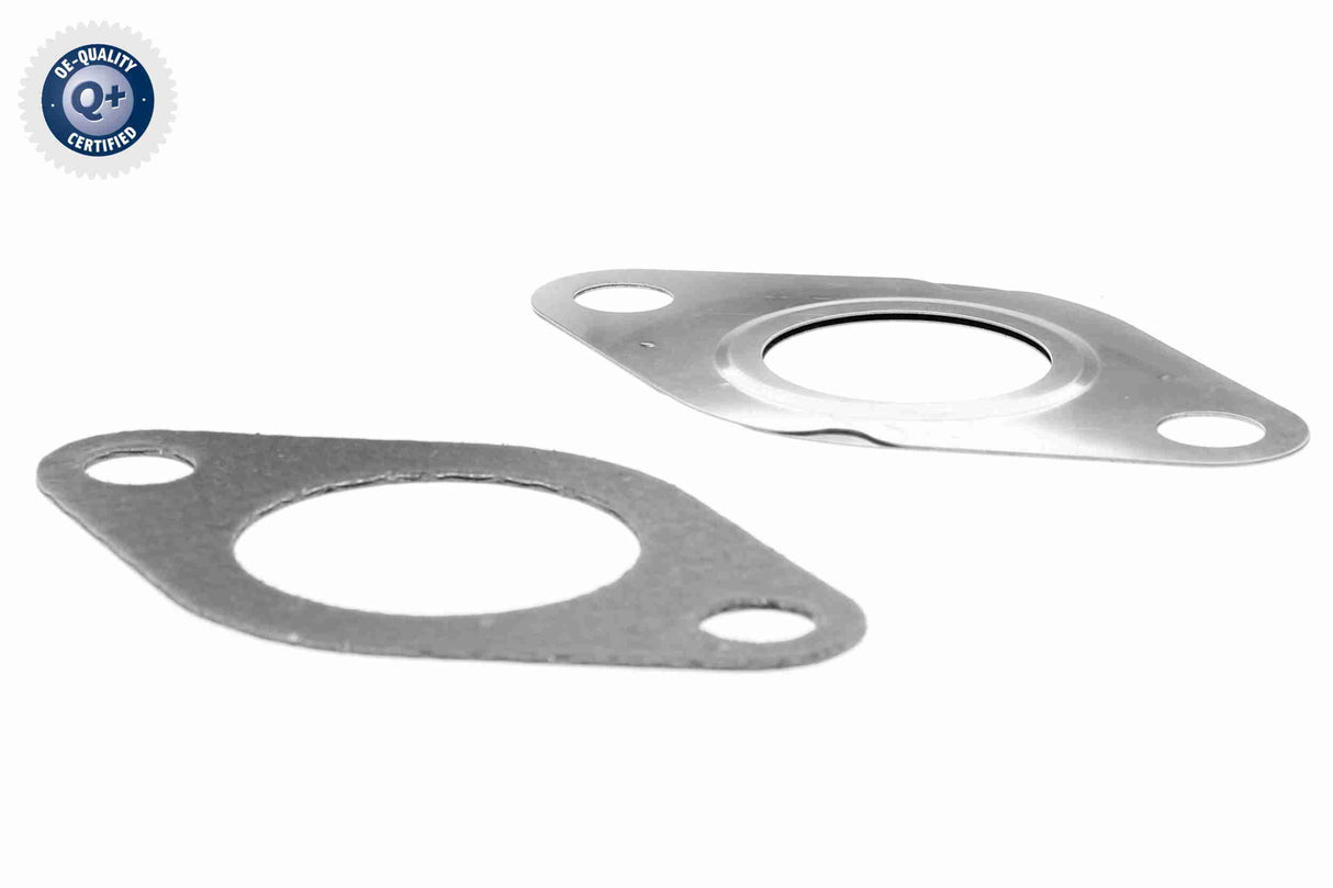Pipe, EGR valve - V10-64-0005