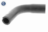 Hose, crankcase ventilation - V40-1991