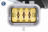 RPM Sensor, manual transmission - V22-72-0169