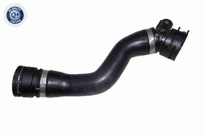 Radiator Hose - V20-4351