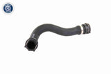 Radiator Hose - V20-0876