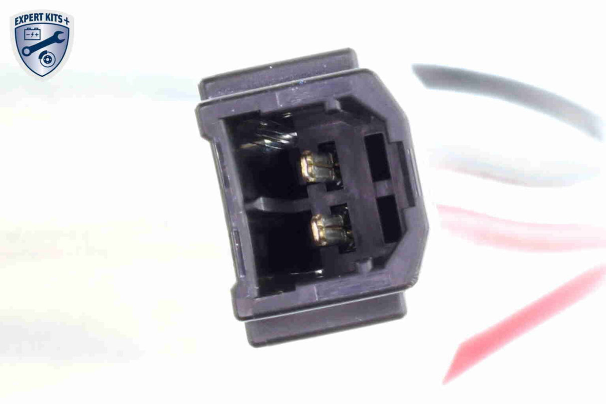 Fuel Pump - V25-09-0024