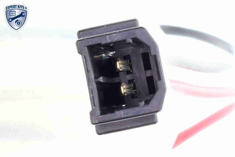 Fuel Pump - V25-09-0024