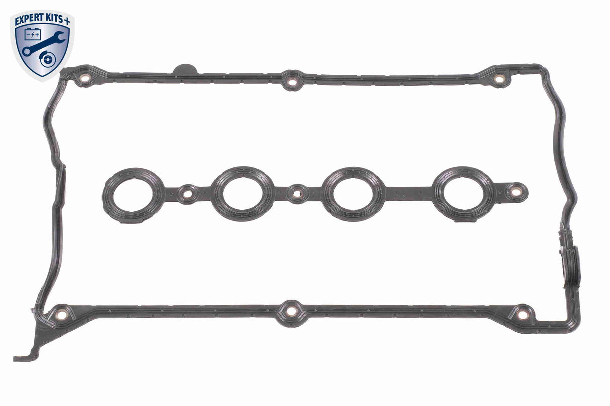Timing Chain Kit - V10-10004