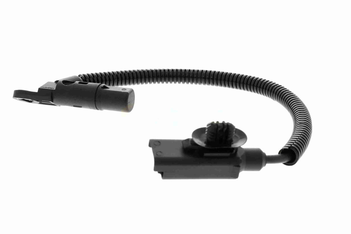Sensor, camshaft position - V25-72-1185