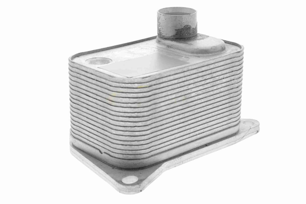 Oil Cooler, engine oil - V15-60-0015