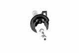 Shock Absorber - V25-1855