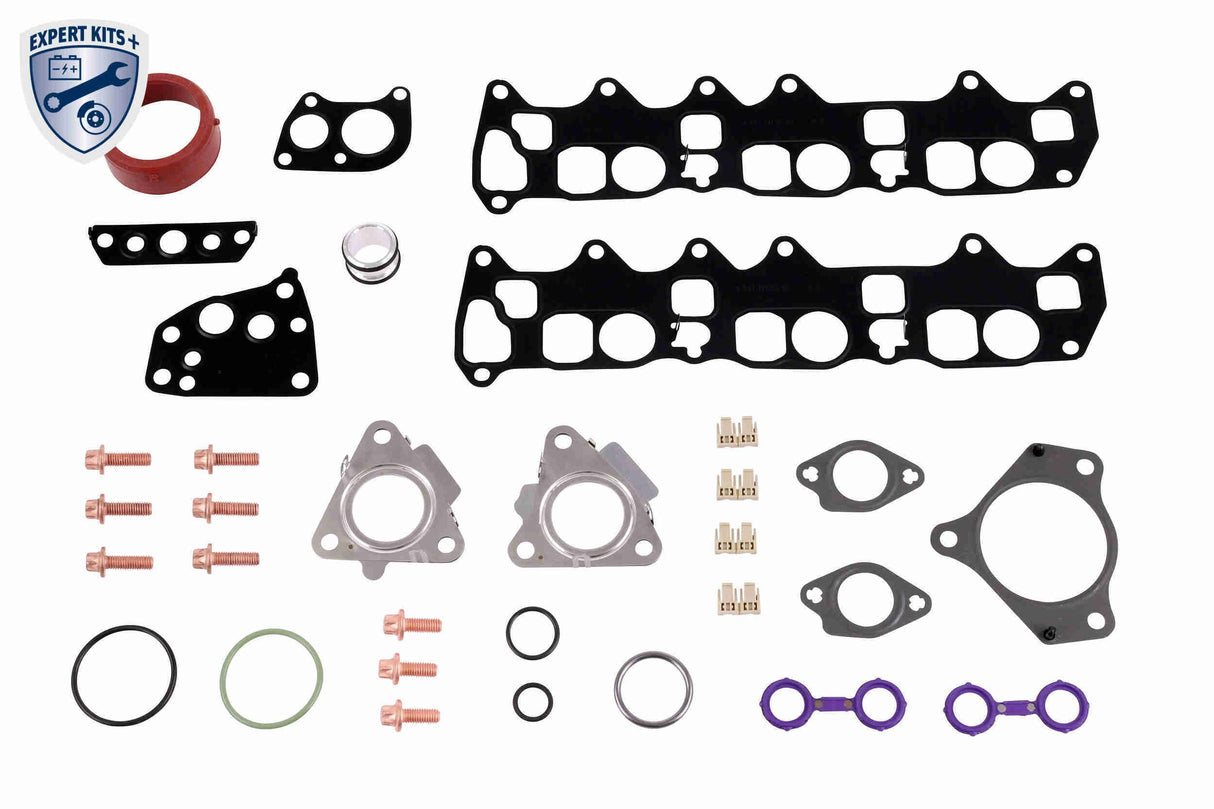 Gasket Set, oil cooler - V30-60-91317