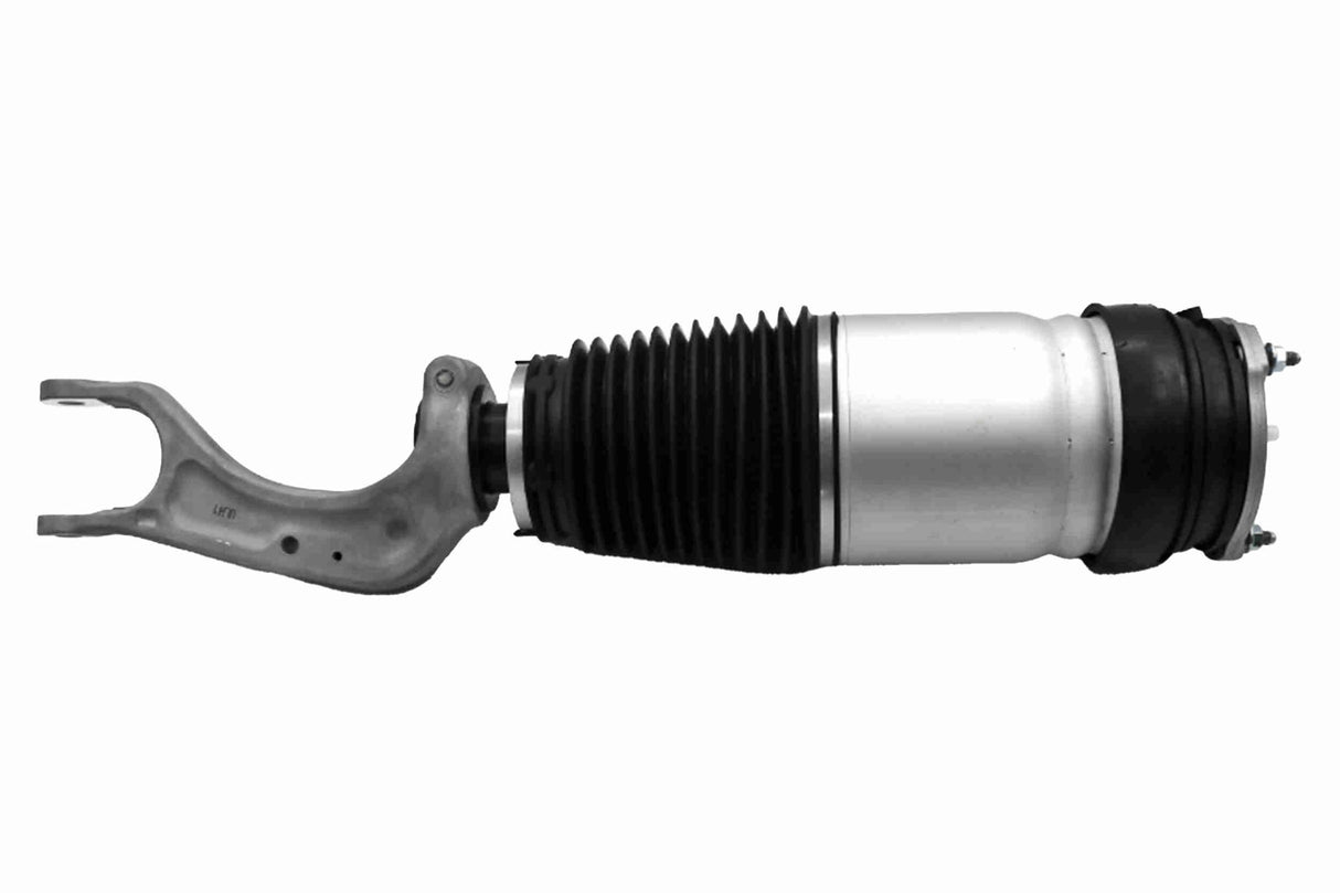 Air Suspension Strut - V58-50-0004
