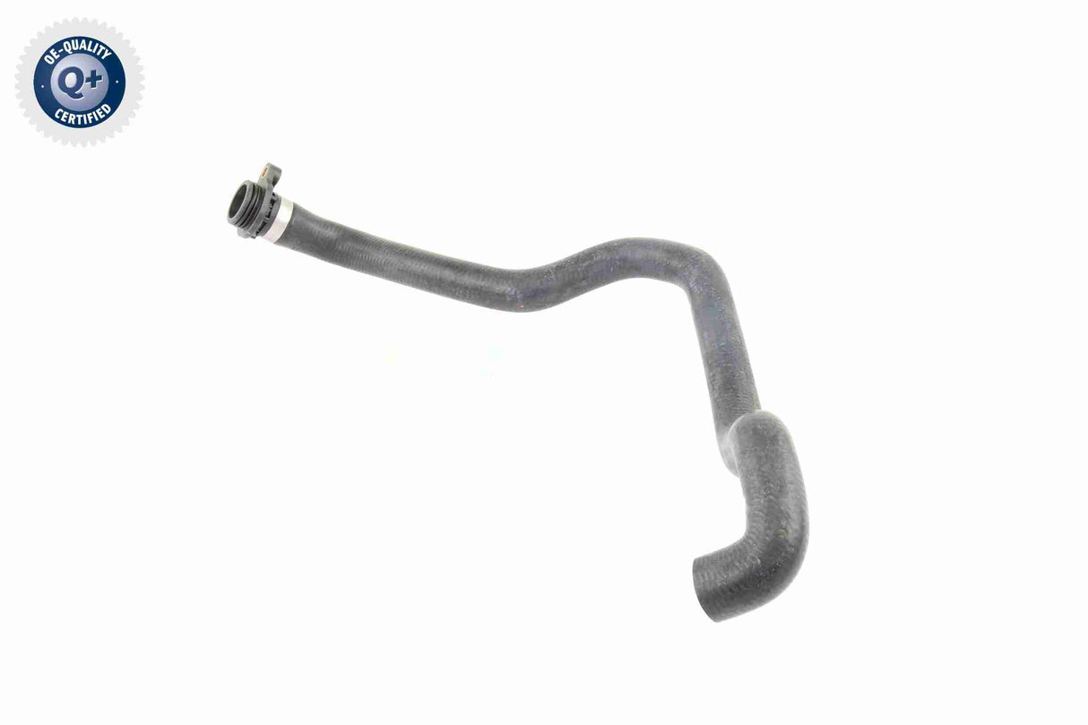 Radiator Hose - V20-1260