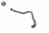 Radiator Hose - V20-1260