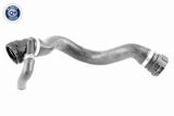 Radiator Hose - V20-2586