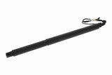 Electric Motor, tailgate - V10-55-0009