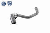 Charge Air Hose - V30-1771