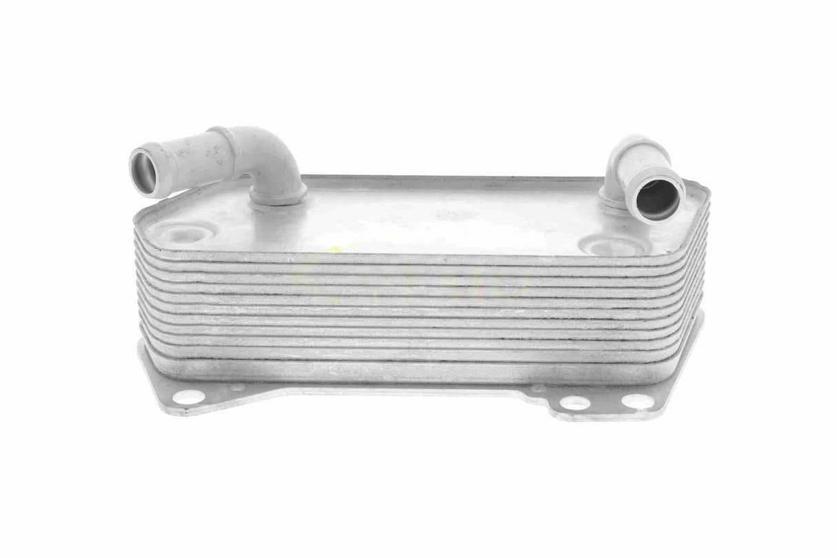 Oil Cooler, engine oil - V10-60-0008