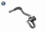 Radiator Hose - V25-1164