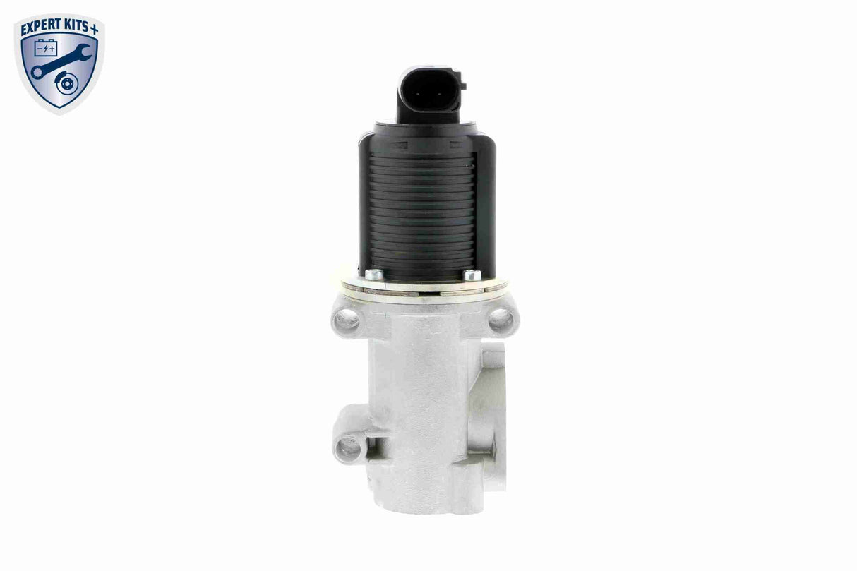 Valve, exhaust gas recirculation - V24-63-0002