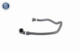 Radiator Hose - V20-1343