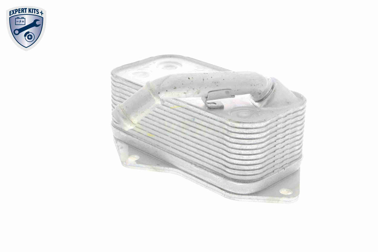 Oil Cooler, engine oil - V20-60-0045