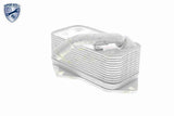Oil Cooler, engine oil - V20-60-0045