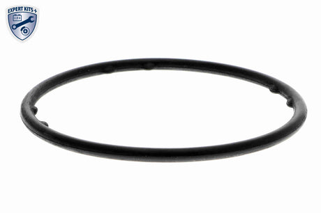 Water Pump, engine cooling - V10-50103