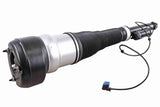 Air Suspension Strut - V30-50-0029
