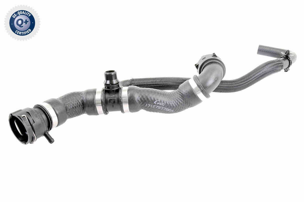 Radiator Hose - V20-2421