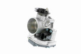 Throttle Body - V10-81-0055