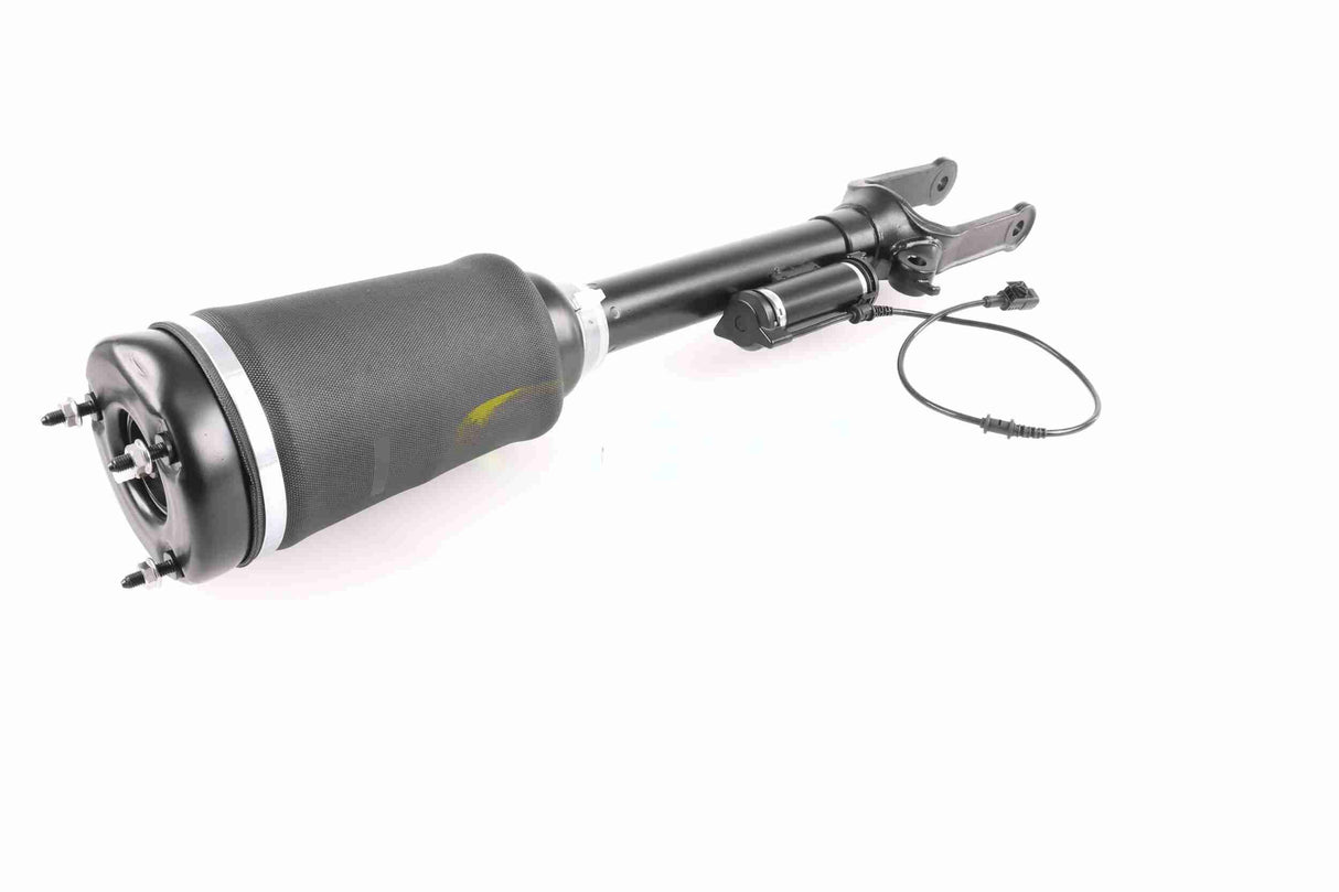 Air Suspension Strut - V30-50-0019-1