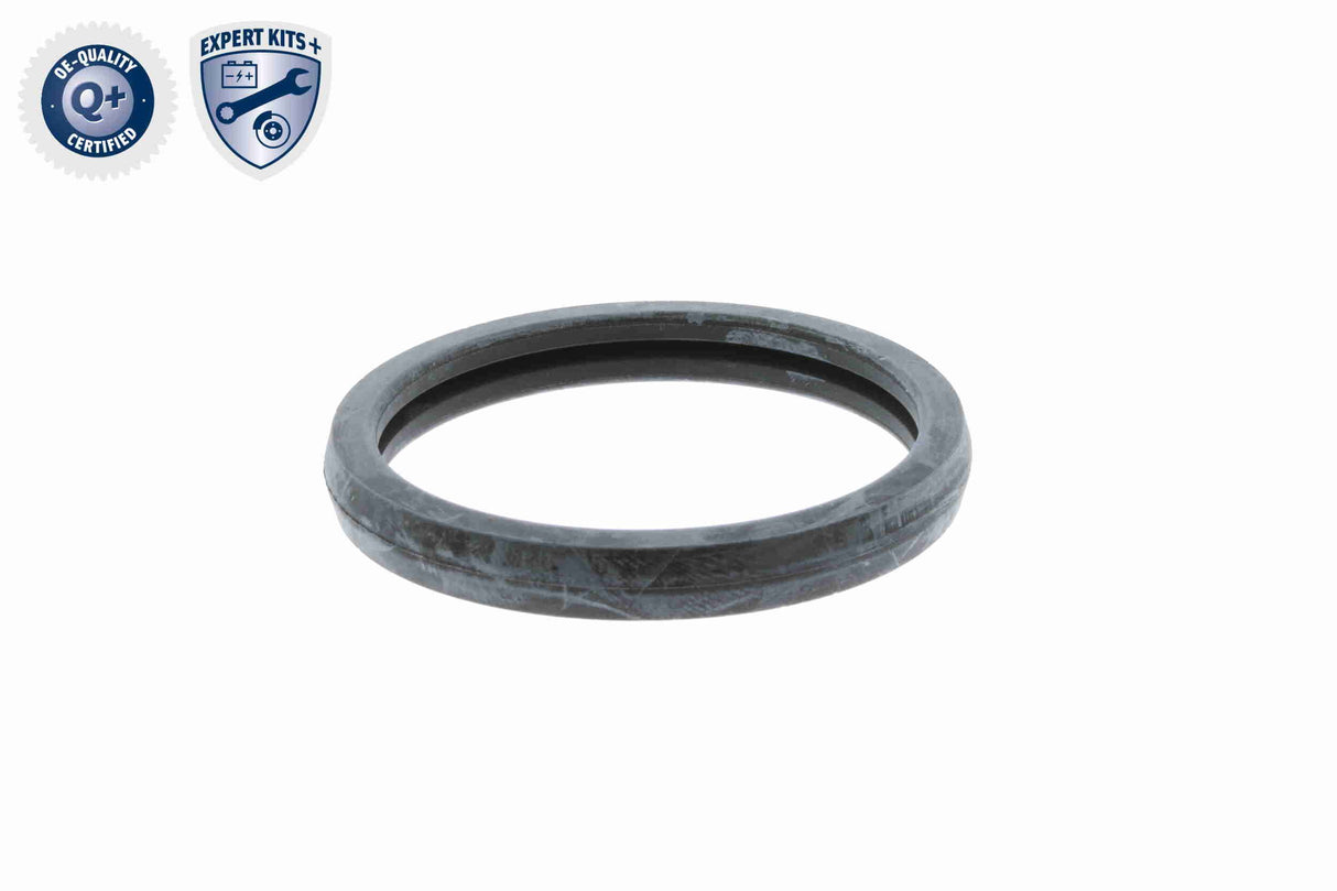 Thermostat, coolant - V25-99-1708