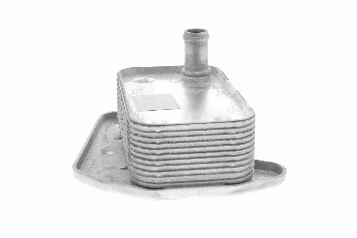 Oil Cooler, engine oil - V30-60-1323