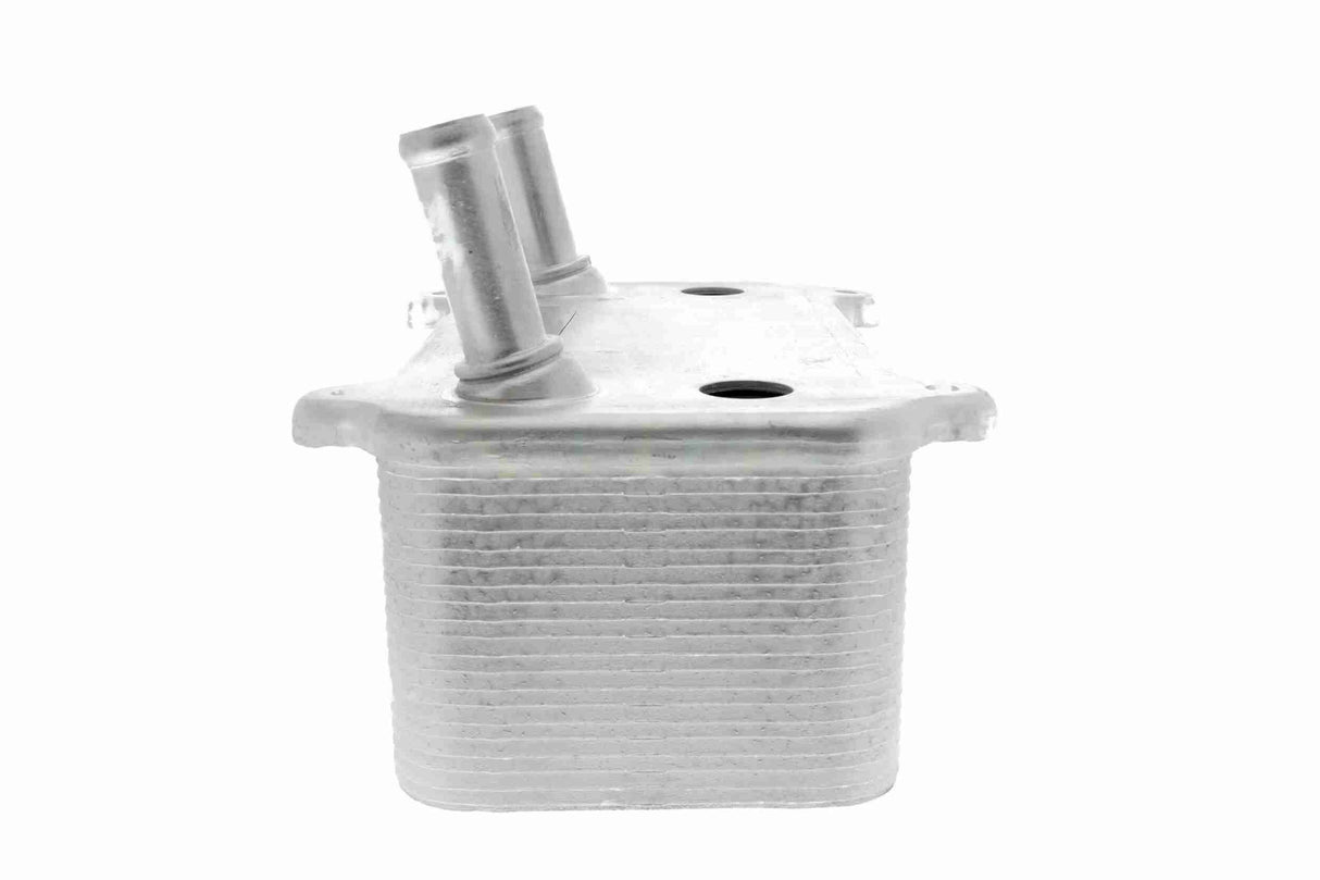 Oil Cooler, engine oil - V48-60-0008
