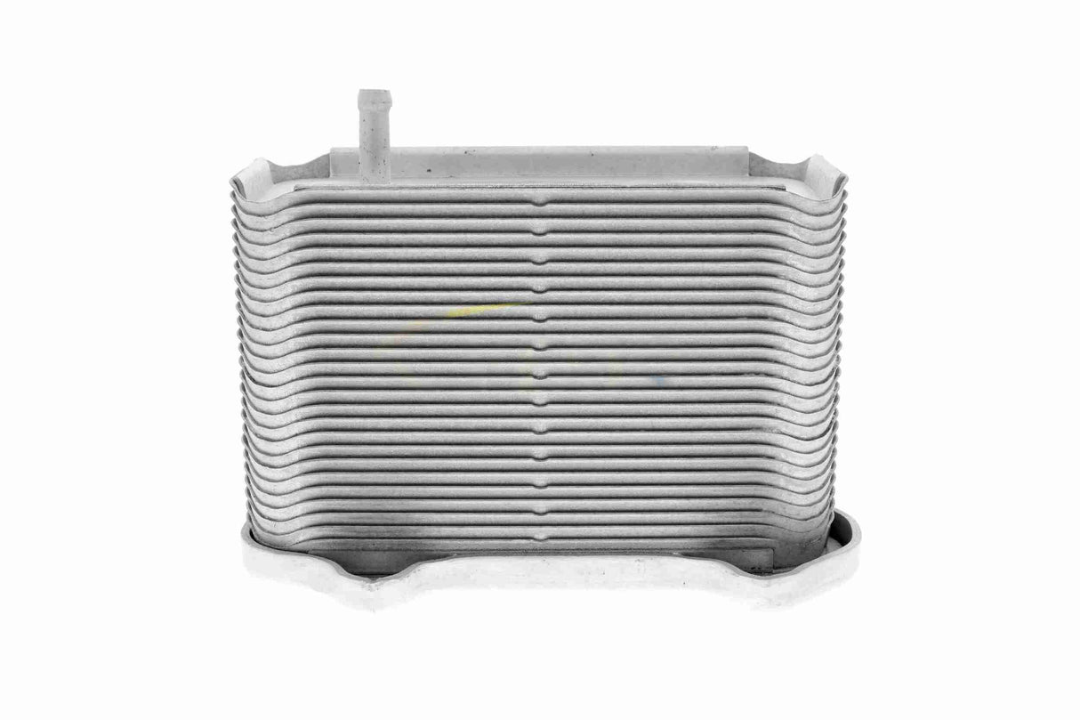 Oil Cooler, engine oil - V45-60-0002