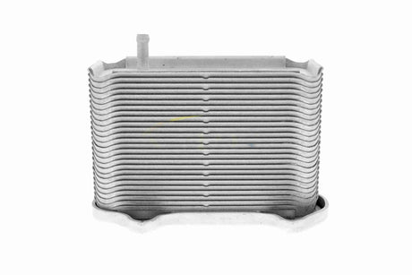 Oil Cooler, engine oil - V45-60-0002