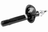 Shock Absorber - V42-0344