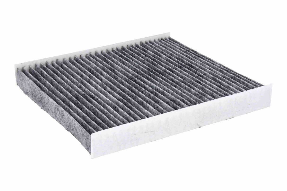 Filter, cabin air - V10-31-0003