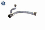 Radiator Hose - V20-1767